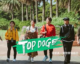 糖心vlog在线观看《TOP DOG》免费在线观看
