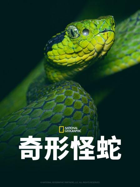 糖心vlog官方入口《奇形怪蛇》免费在线观看